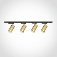 Gilded Rail Track Light, Aluminum, Integrated LED