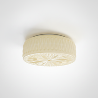 Ceiling Light Metal Glass Acrylic Finish Integrated LED