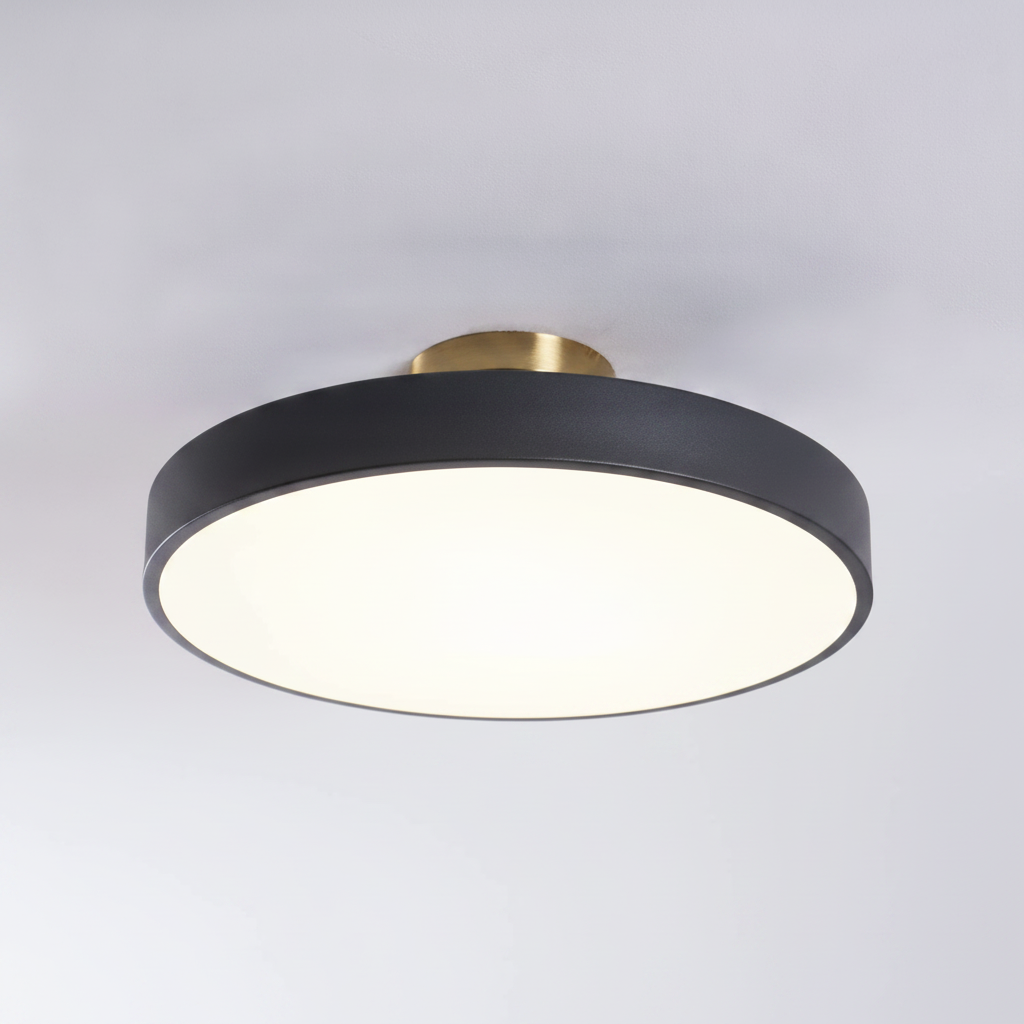 Flush Mount Ceiling Light Modern Aluminum Acrylic, Integrated LED