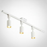 Track Light Cylinder Metal Aluminum Integrated LED