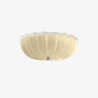 Blown Glass Ceiling Light
