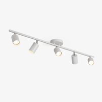 Evanna Ceiling Light