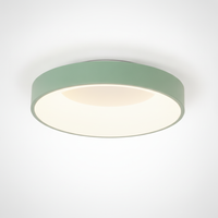 Flush Mount Ceiling Light Contemporary Metal Acrylic, Integrated LED