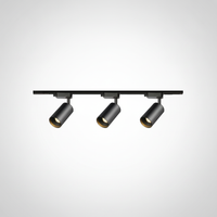Gilded Rail Track Light, Aluminum, Integrated LED