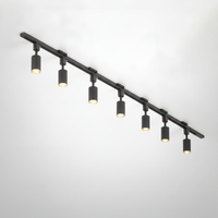 Track Light Cylinder Metal Aluminum Integrated LED