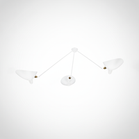 Multi Arm Spider Ceiling Light Lacquered Aluminum and Steel with
