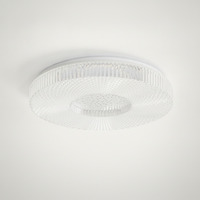 Flush Mount Ceiling Light Modern Metal Acrylic Low Profile Integrated