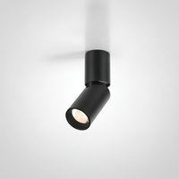 Adjustable Surface Mount Downlight Metal Aluminum Integrated LED