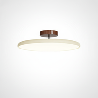 Adjustable Ceiling Lamp Metal Frame Acrylic Shade, Integrated LED