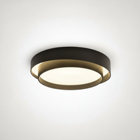 Flush Mount Ceiling Light Metal and Acrylic, Integrated LED