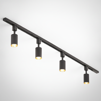 Track Light Cylinder Metal Aluminum Integrated LED