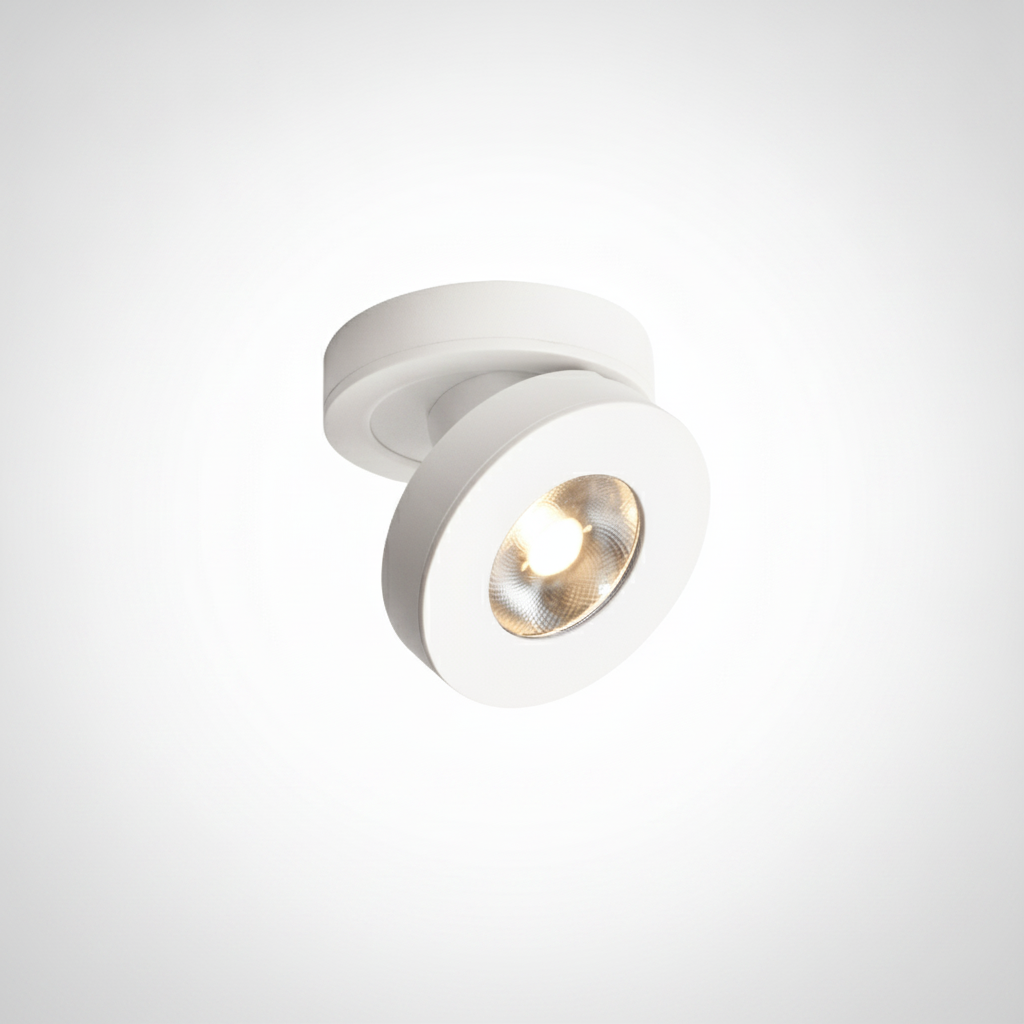 Round Rotating Integrated LED Downlight