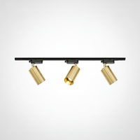 Gilded Rail Track Light, Aluminum, Integrated LED