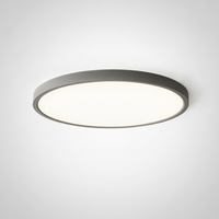 Flush Mount Ceiling Light Round Thin Acrylic