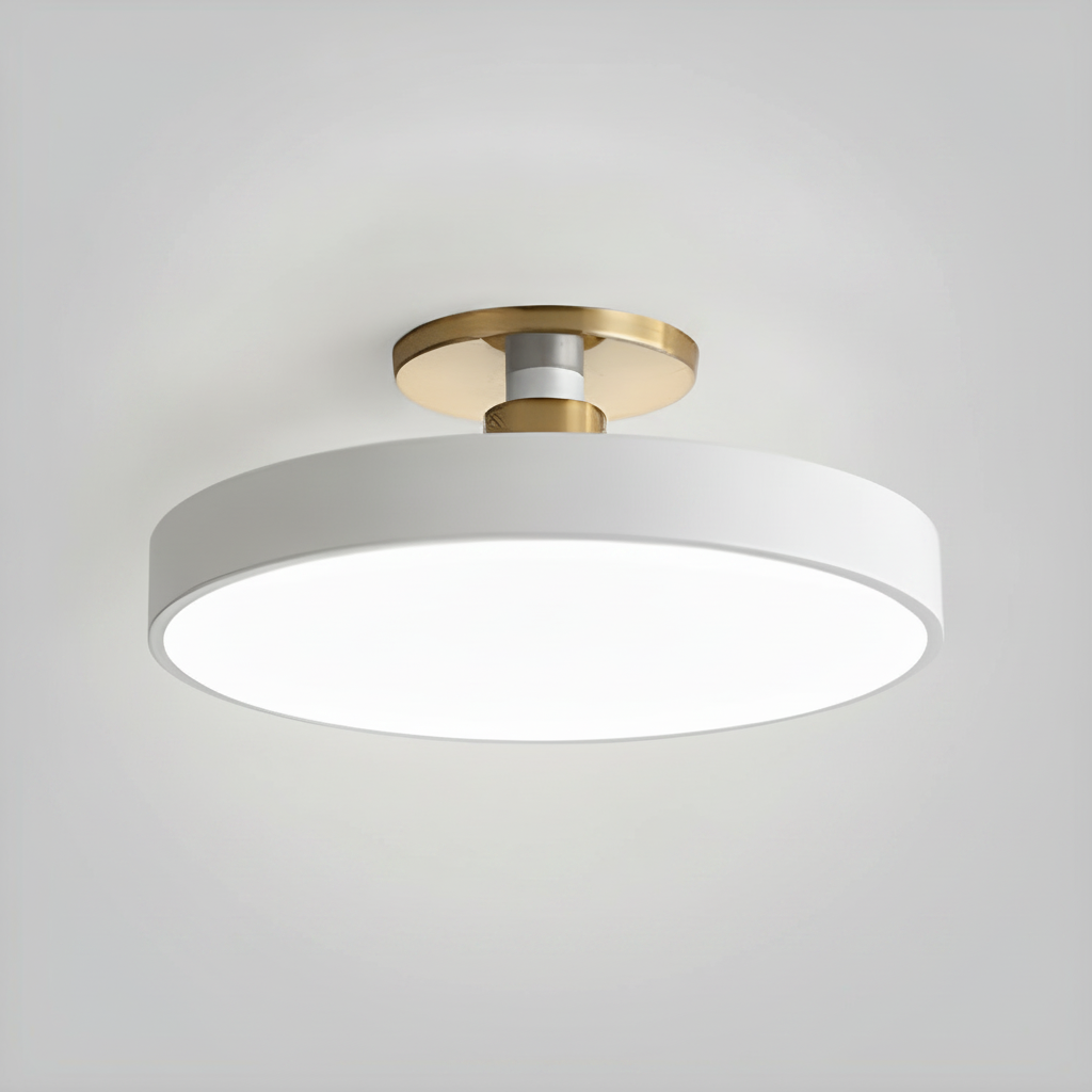 Flush Mount Ceiling Light Modern Aluminum Acrylic, Integrated LED