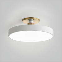 Flush Mount Ceiling Light Modern Aluminum Acrylic, Integrated LED