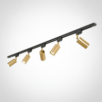 Gilded Rail Track Light