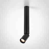 Adjustable Surface Mount Downlight Metal Aluminum Integrated LED