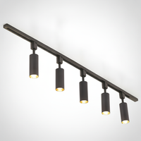 Track Light Cylinder Metal Aluminum Integrated LED