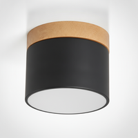 Surface Mount Downlight, Dining Room