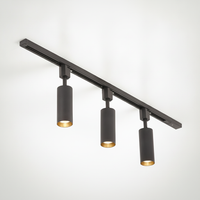 Track Light Cylinder Metal Aluminum Integrated LED