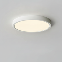 Flush Mount Ceiling Light Round Thin Acrylic