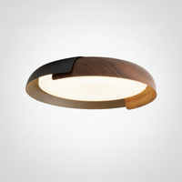 Ceiling Fixture, Living Room Bedroom