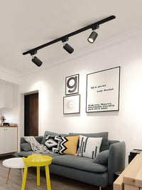 Adjustable Spotlight Track Ceiling Light