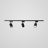Adjustable Spotlight Track Ceiling Light