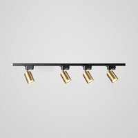 Adjustable Spotlight Track Ceiling Light