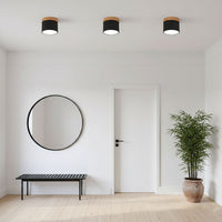 Alva Wooden Surface Downlight