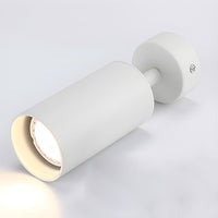 Arlo Accent Spotlight