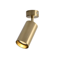 Arlo Accent Spotlight