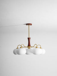 Brass Wooden Persimmon Chandelier