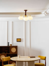Brass Wooden Persimmon Chandelier