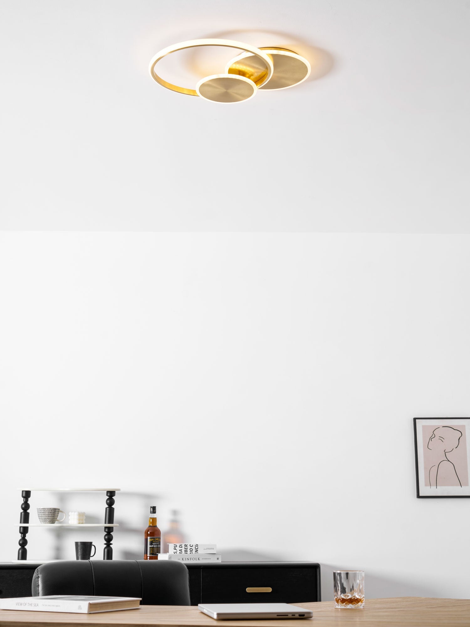 Circles LED Ceiling Light