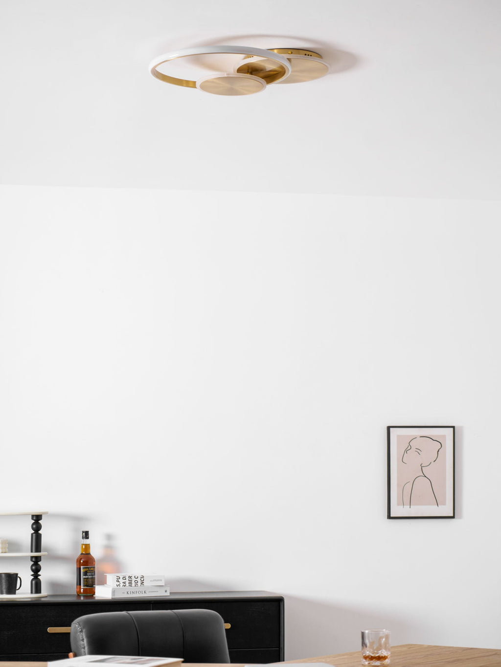 Circles LED Ceiling Light