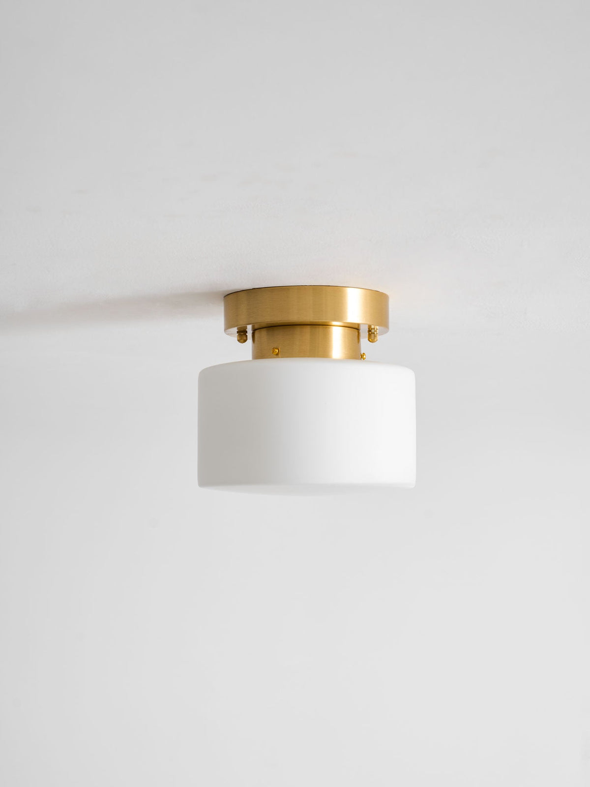 Clinio Flush Mount Ceiling Light