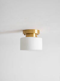 Clinio Flush Mount Ceiling Light