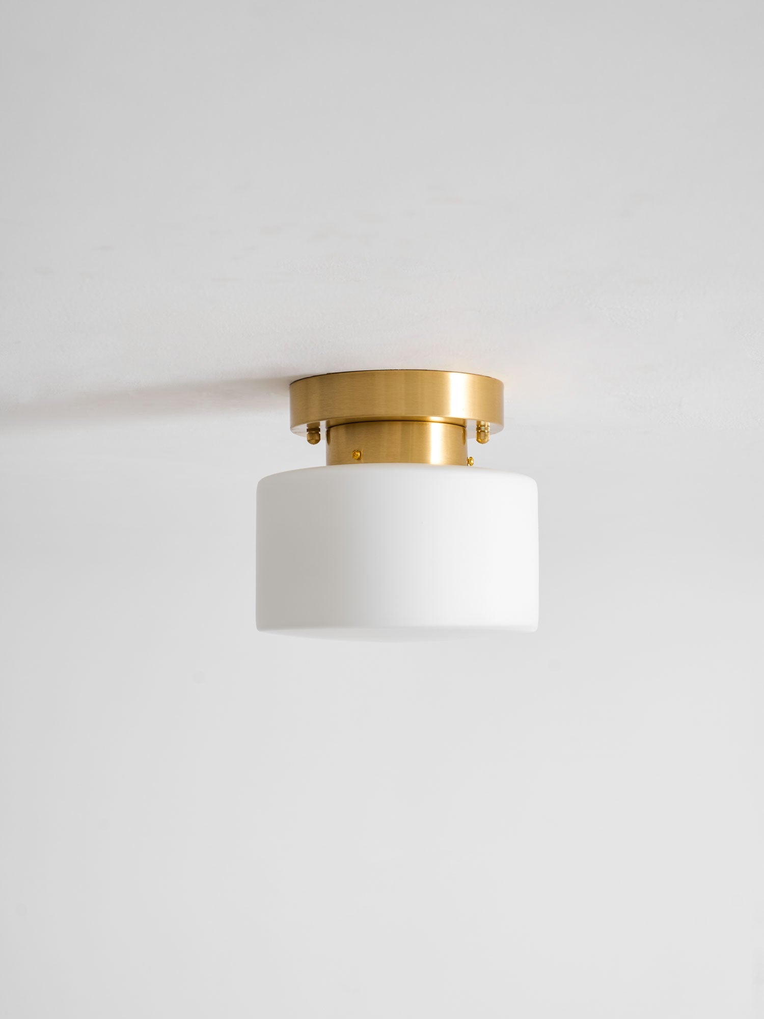 Clinio Flush Mount Ceiling Light