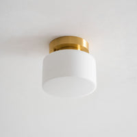 Clinio Flush Mount Ceiling Light