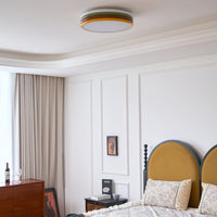 Color Stack Ceiling Lamp
