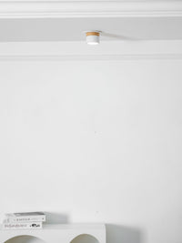 Alva Wooden Surface Downlight