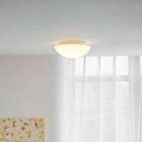 Devan Seashell Ceiling Lamp