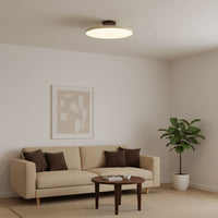 Drift Adjustable Ceiling Lamp