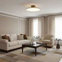 Drift Adjustable Ceiling Lamp