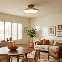 Drift Adjustable Ceiling Lamp