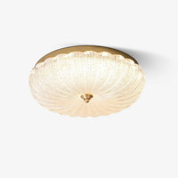 Enchanting Ceiling Light