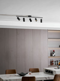 Evanna Ceiling Light