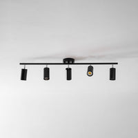 Evanna Ceiling Light